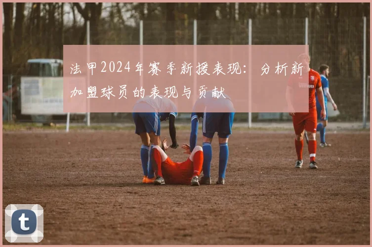 法甲2024年赛季新援表现：分析新加盟球员的表现与贡献