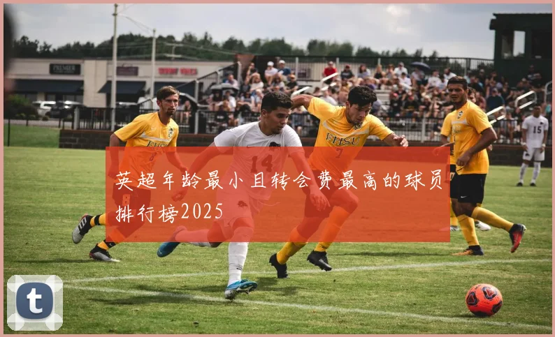 英超年龄最小且转会费最高的球员排行榜2025
