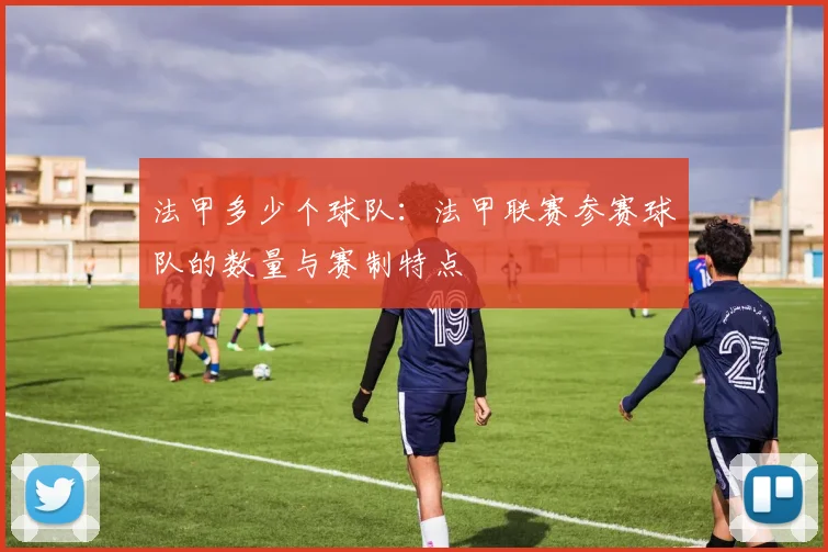 法甲多少个球队:法甲联赛参赛球队的数量与赛制特点