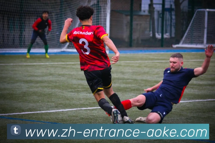 澳客足彩平台生态图